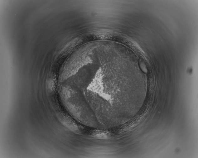 X0000100840073200806271122