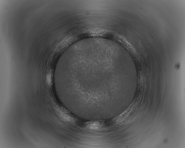 X0000100840074200806271122