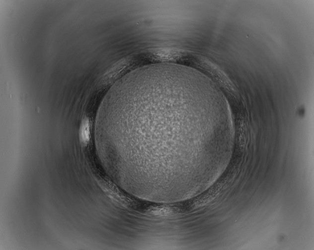 X0000100840075200806271122