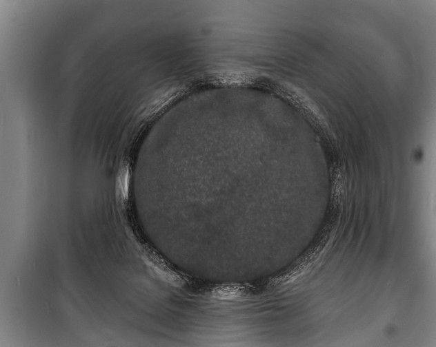 X0000100840076200806271122