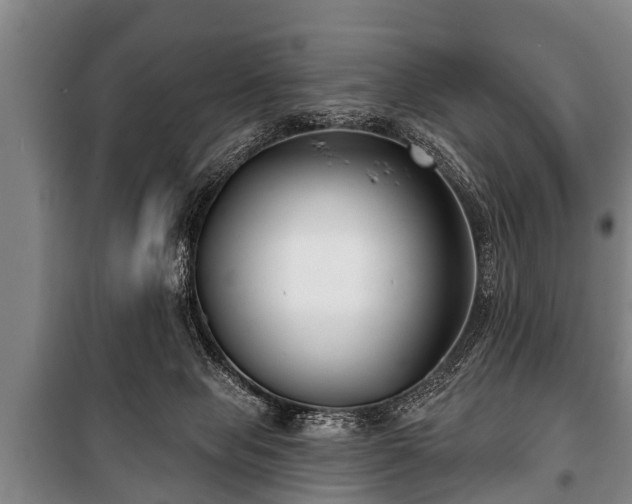 X0000100840077200806271122