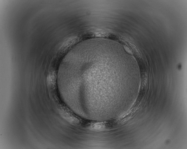 X0000100840078200806271122