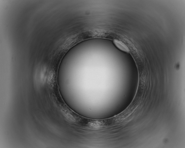 X0000100840079200806271122