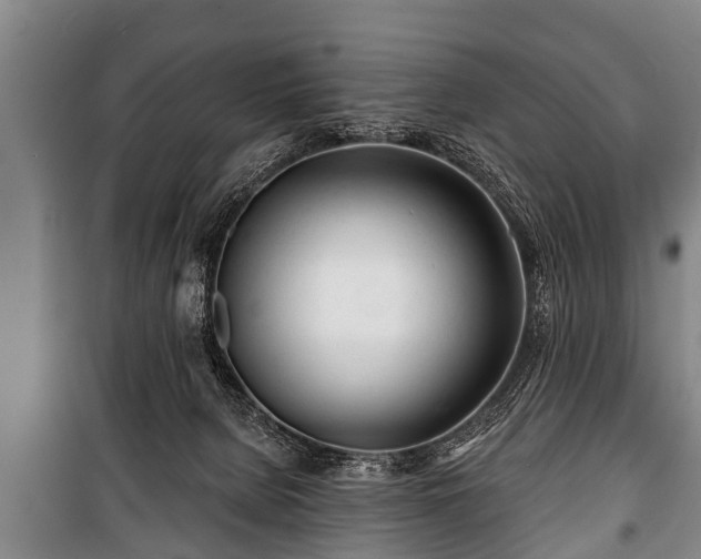 X0000100840080200806271122