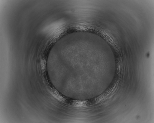 X0000100840081200806271122