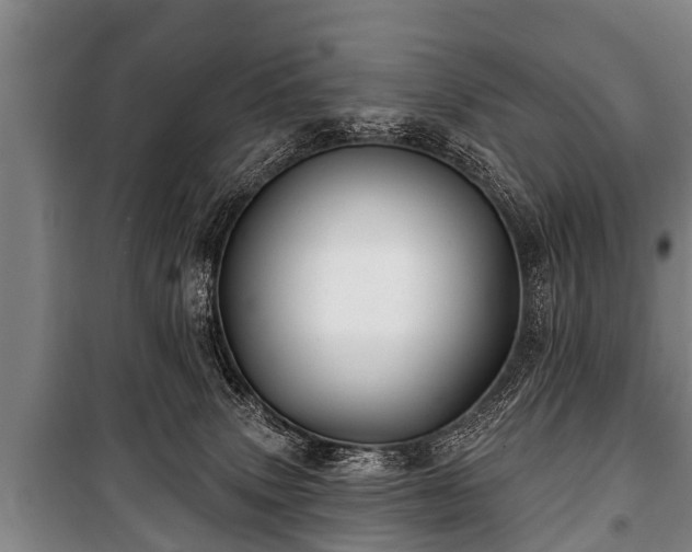 X0000100840083200806271122