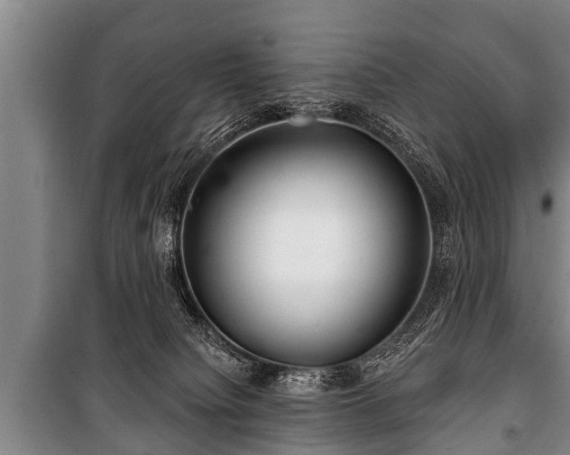 X0000100840084200806271122