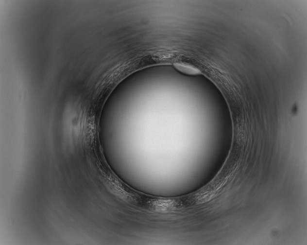 X0000100840085200806271122