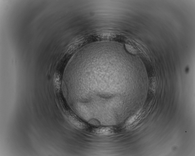 X0000100840086200806271122