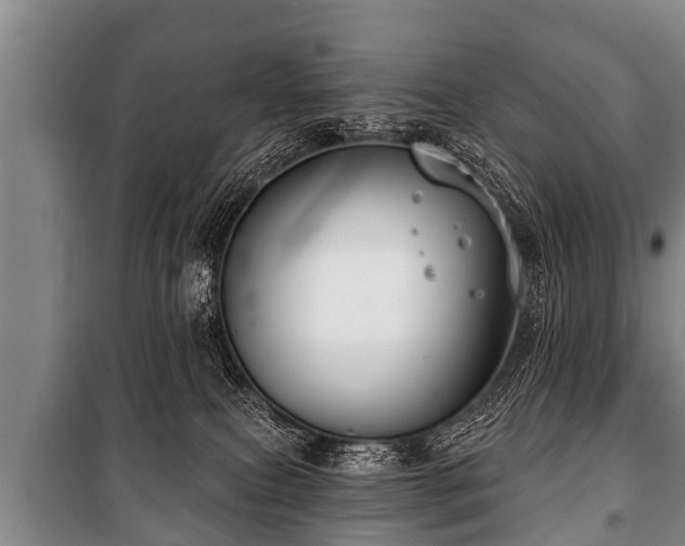 X0000100840087200806271122