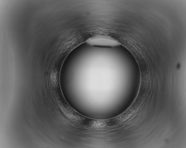 X0000100840088200806271122