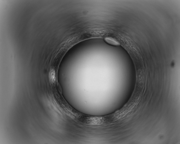 X0000100840089200806271123