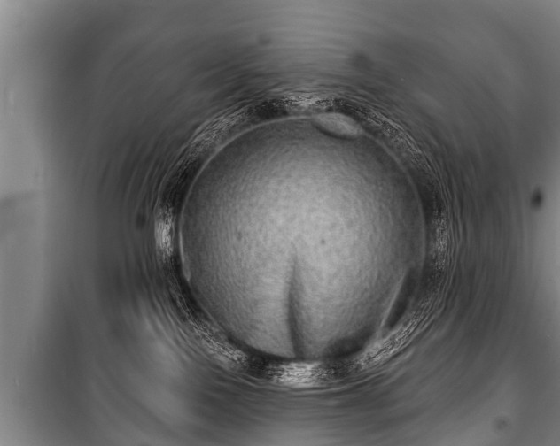 X0000100840090200806271123