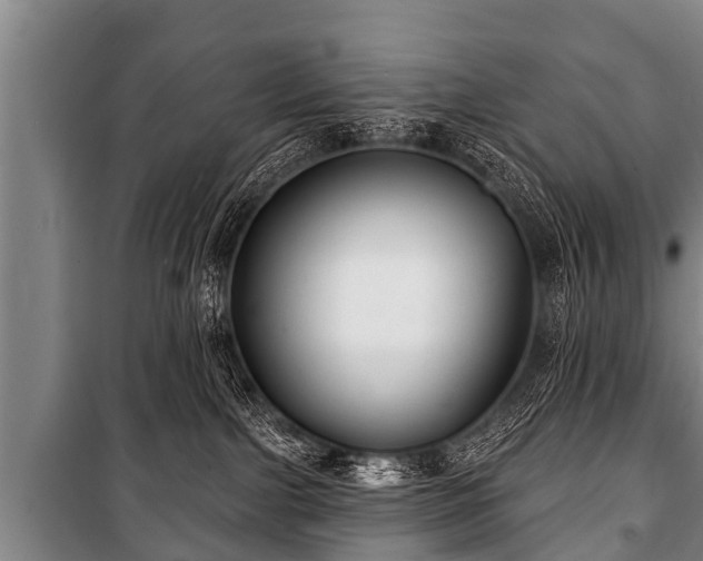 X0000100840091200806271123