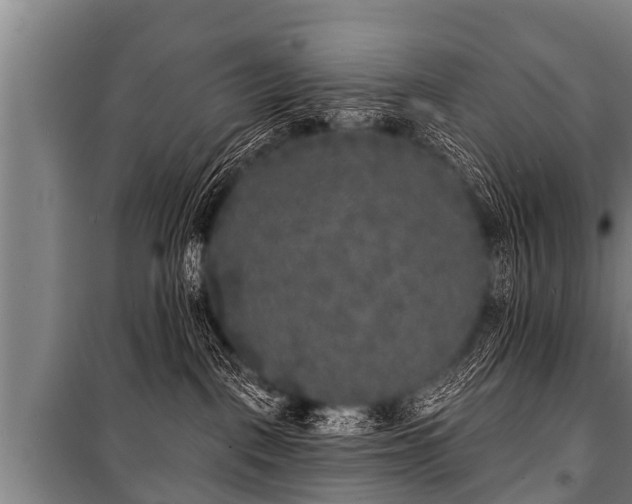 X0000100840093200806271123