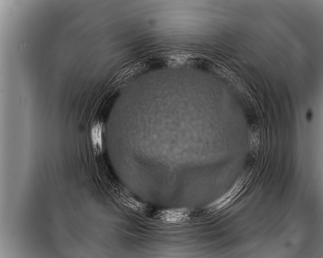 X0000100840094200806271123