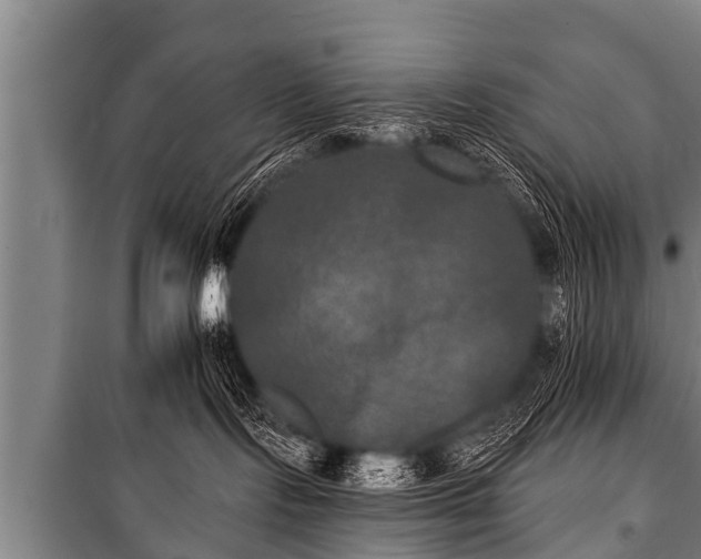 X0000100840095200806271123