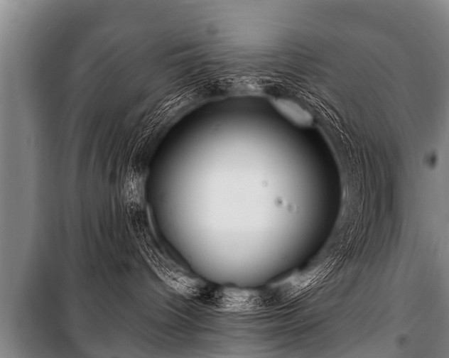 X0000100840096200806271123