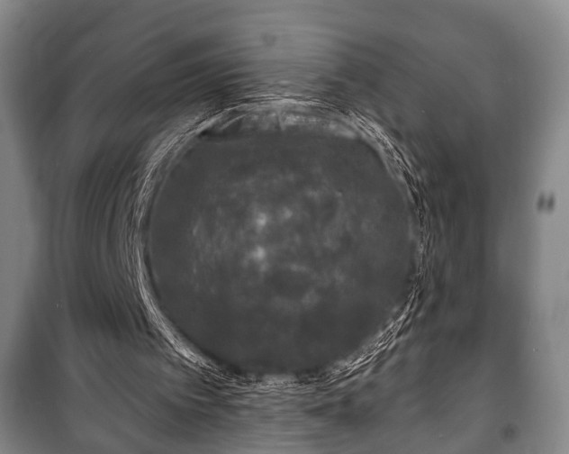 X0000100840097200806271122