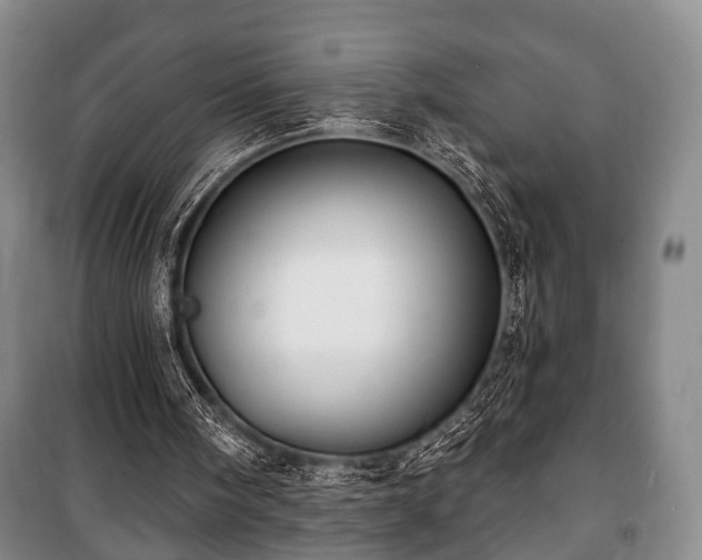 X0000100840098200806271122