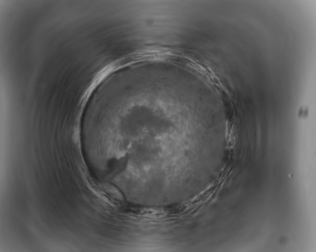 X0000100840099200806271122