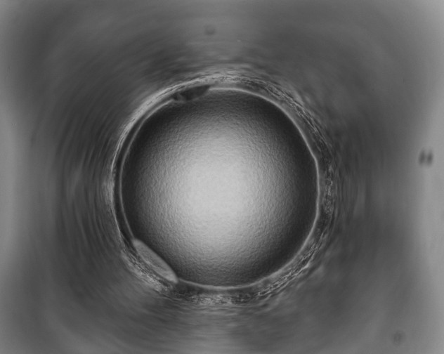 X0000100840100200806271122