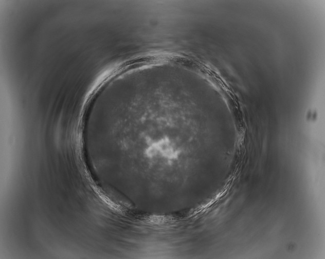 X0000100840101200806271122