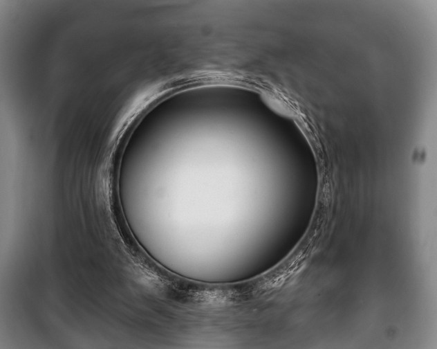 X0000100840103200806271122