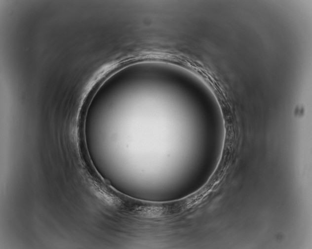 X0000100840104200806271122