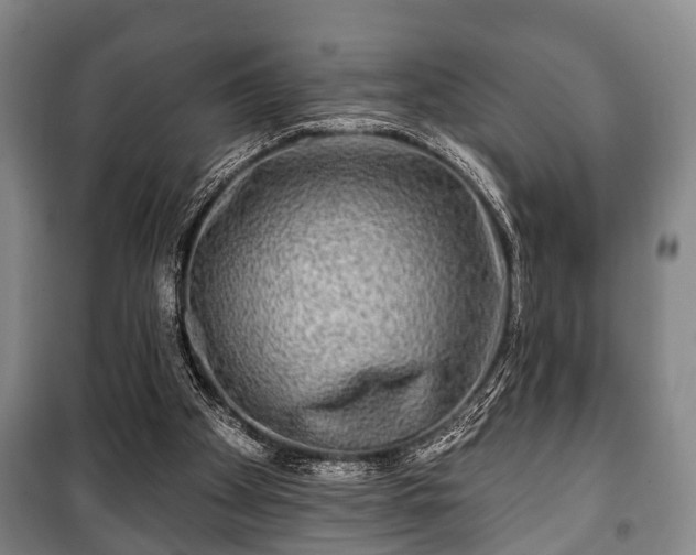 X0000100840105200806271122