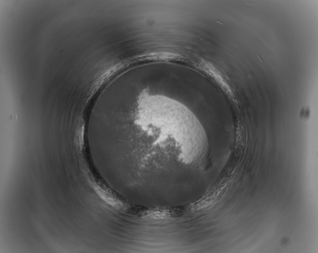 X0000100840110200806271122