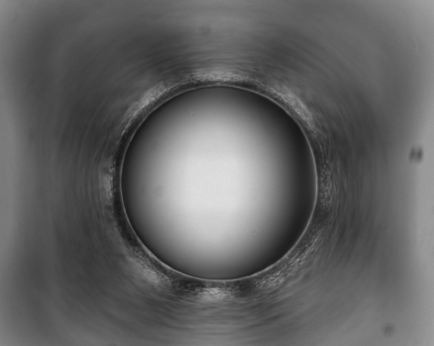 X0000100840111200806271122