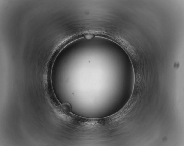 X0000100840112200806271122