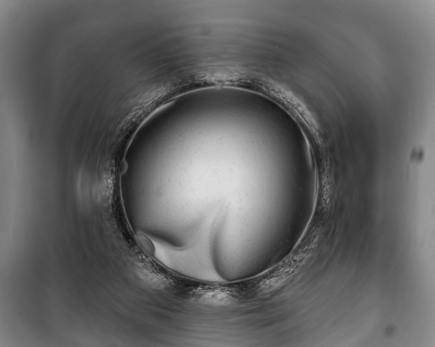 X0000100840113200806271122