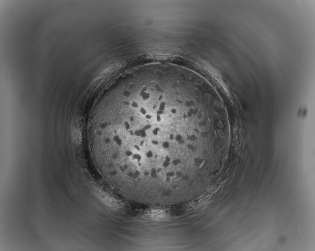 X0000100840114200806271122