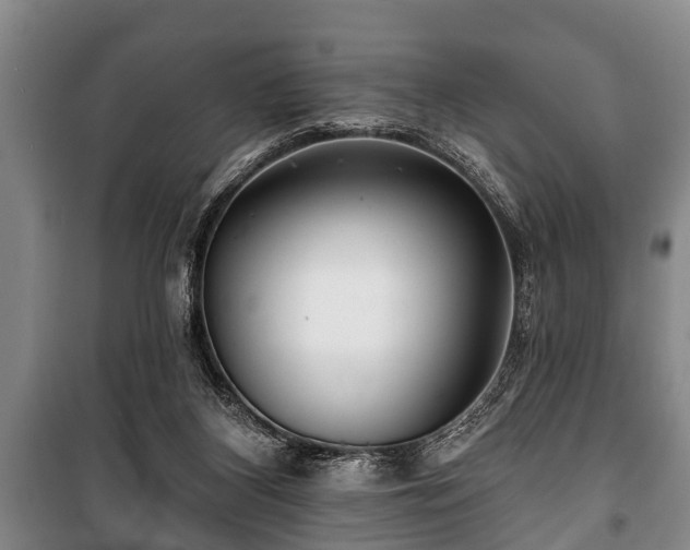 X0000100840116200806271122