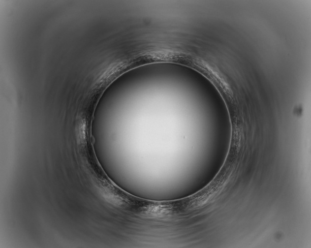 X0000100840117200806271122