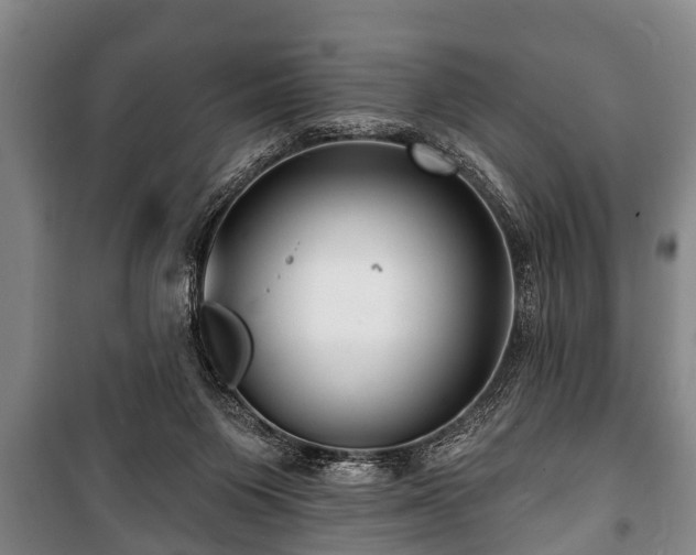 X0000100840119200806271122