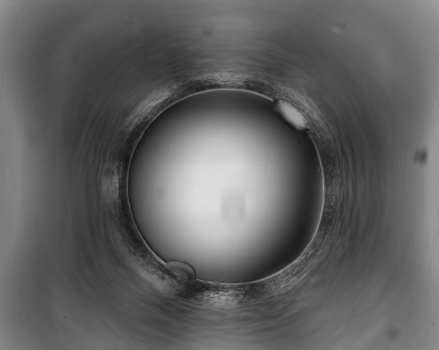 X0000100840120200806271122