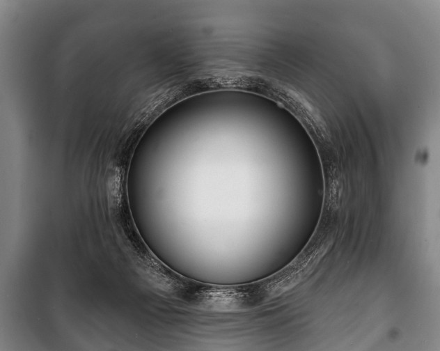 X0000100840121200806271122