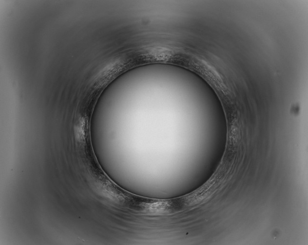 X0000100840122200806271122