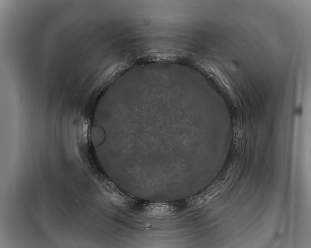 X0000100840123200806271122