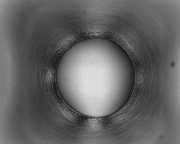 X0000100840126200806271121