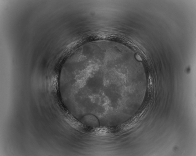 X0000100840127200806271121