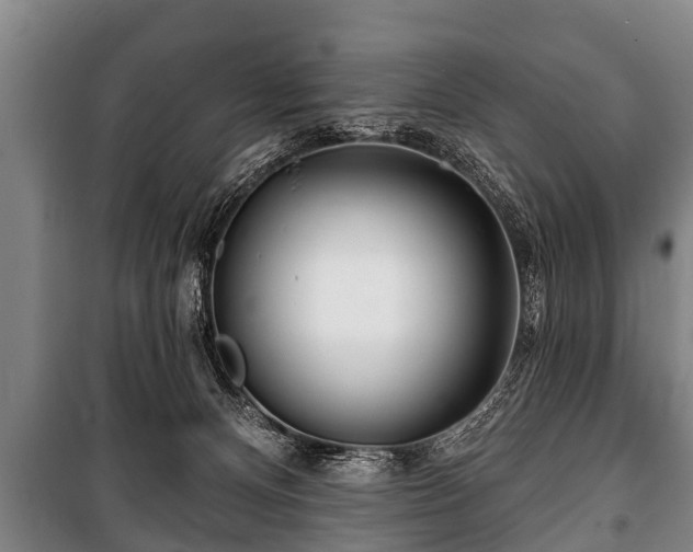 X0000100840128200806271121