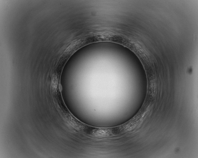 X0000100840129200806271121