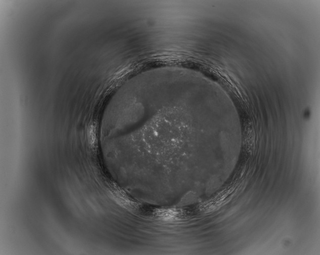 X0000100840131200806271121