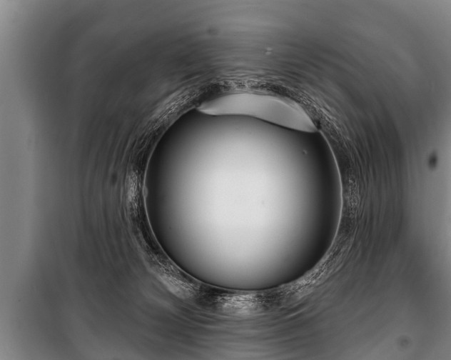 X0000100840132200806271121