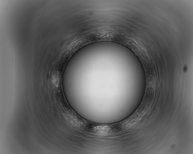 X0000100840133200806271121