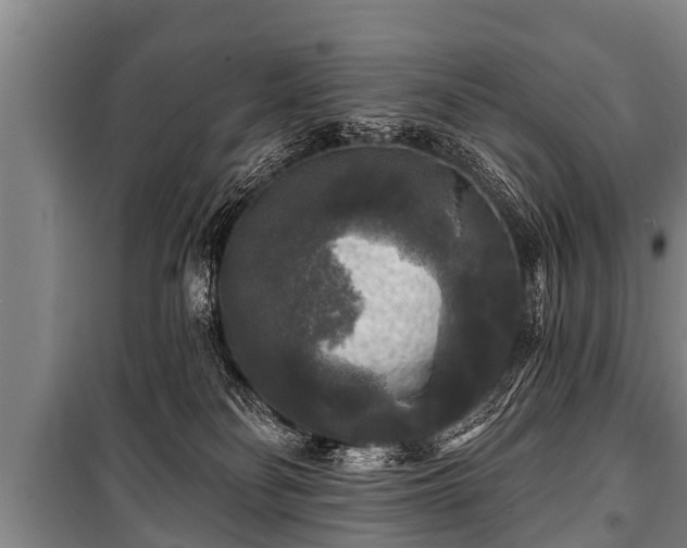 X0000100840134200806271121